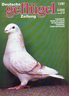 Artikel und Themen zu Show Racern