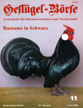 Artikel und Themen zu Show Racern